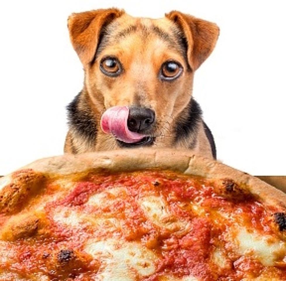 Enjoy A Pizza With Your Pup in Lufkin
