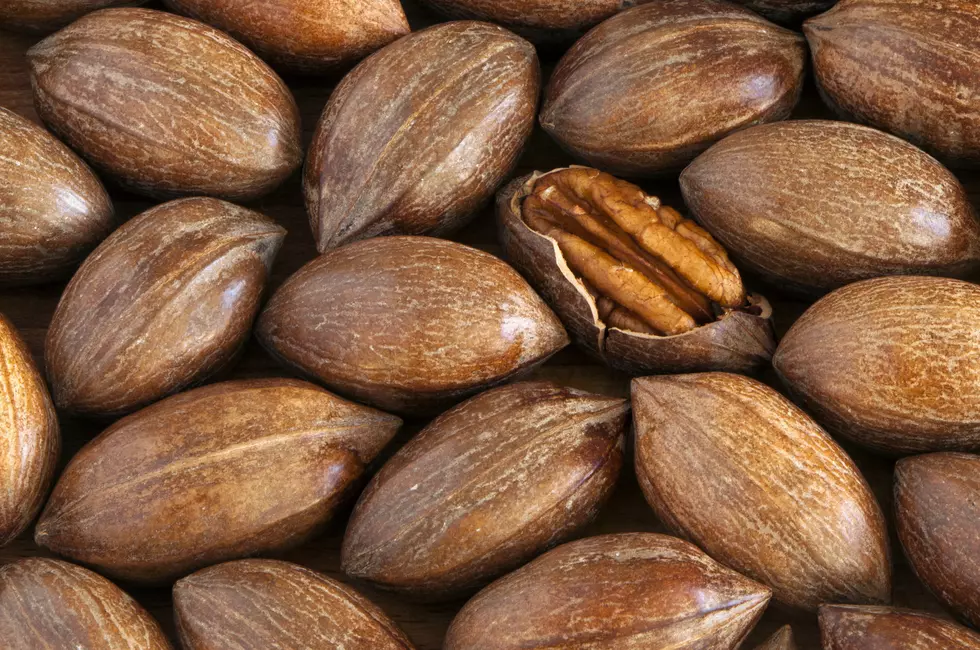 “Going Nuts for Pecans” Meeting to Be Held