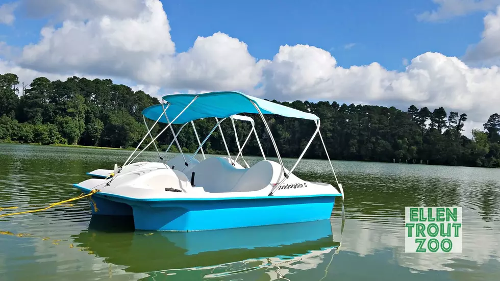 Paddle Boats Available To Rent At Ellen Trout Lake