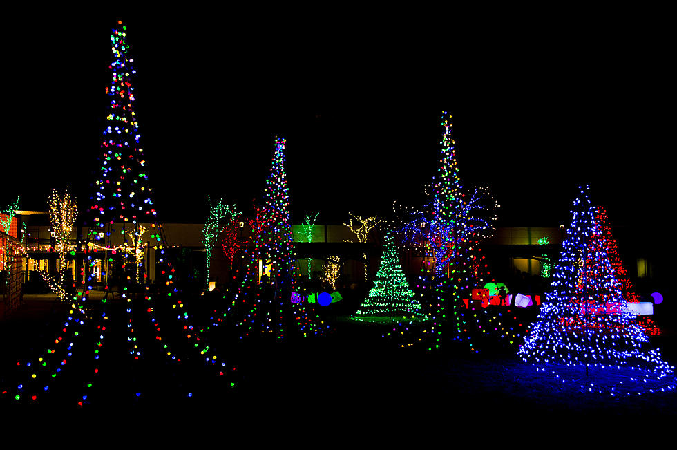 Trail Of Lights Makes Your Christmas Bright