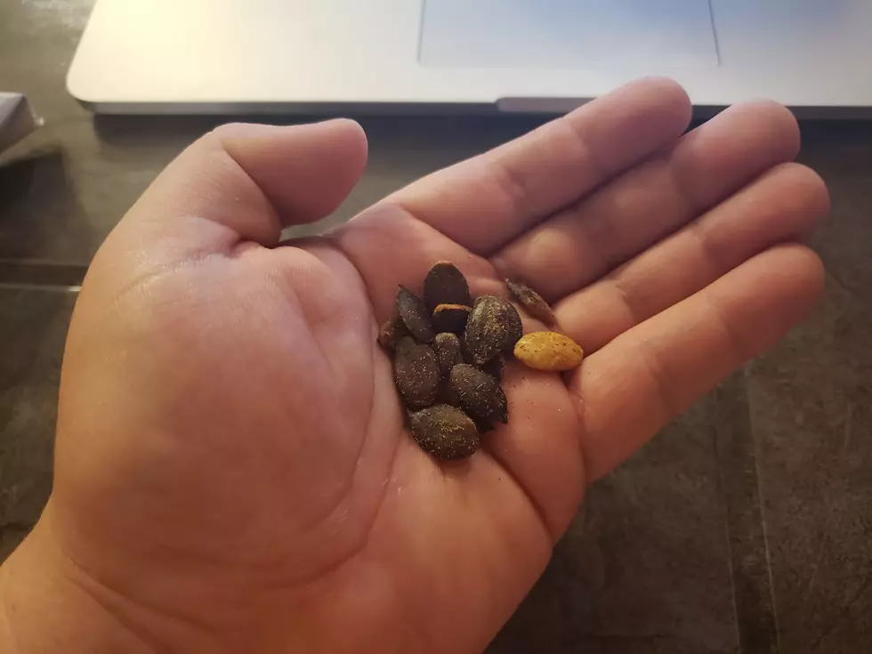 Keto Snack Taste Test &#8211; Spicy Pumpkin Seeds