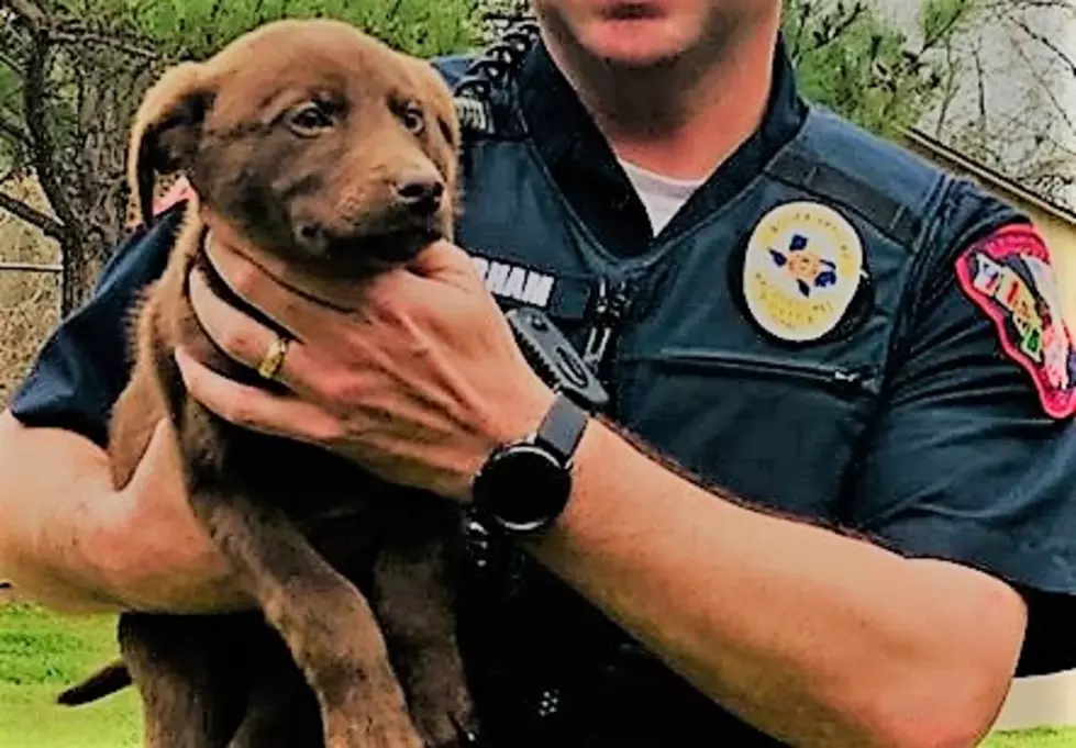 Nacogdoches Police Department Pet Of The Week