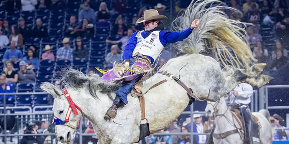 Visit the Houston Rodeo: