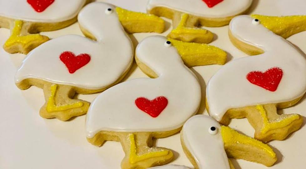 This Lufkin, Texas Bakery Is Selling The Cutest Pelican Cookies For A Great Cause