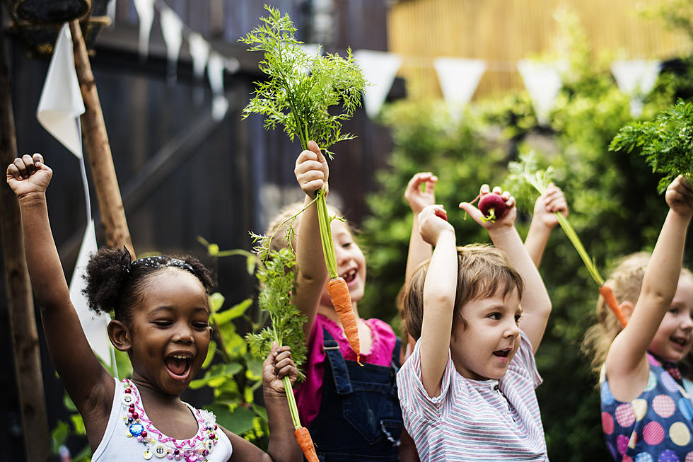 Bring Your Children to &#8220;Kids&#8217; Day&#8221; At The Angelina County Farmers Market in Lufkin, Texas