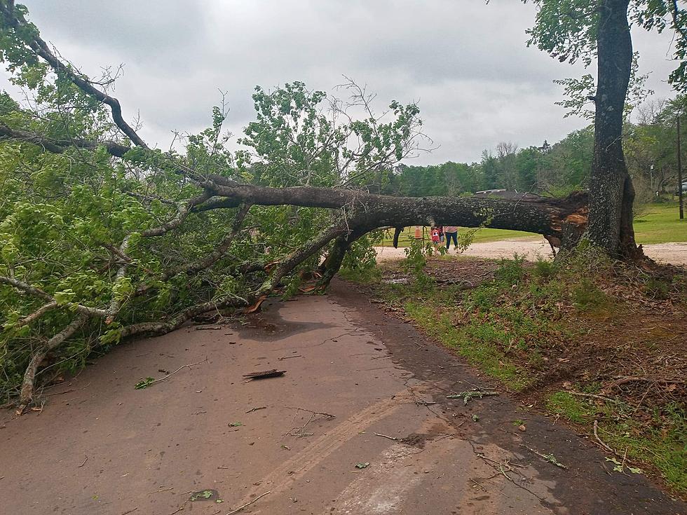 See The Aftermath Of Late Night Storms In Nacogdoches, Texas