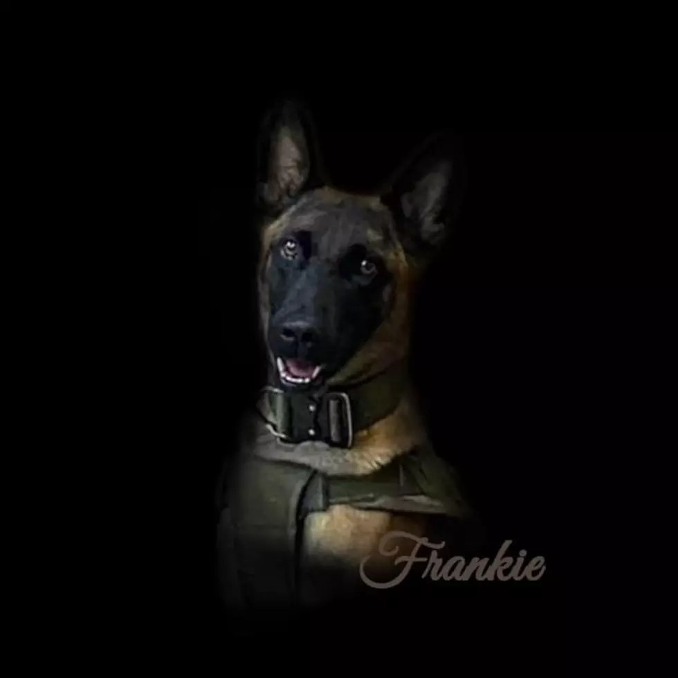 San Augustine County Mourns Loss Of K9 Officer Frankie In Lufkin, Texas