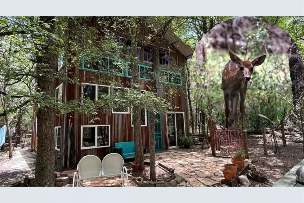 This Wild Rustic Barndominium Is A Deer Lover&#8217;s Dream In San Marcos, Texas