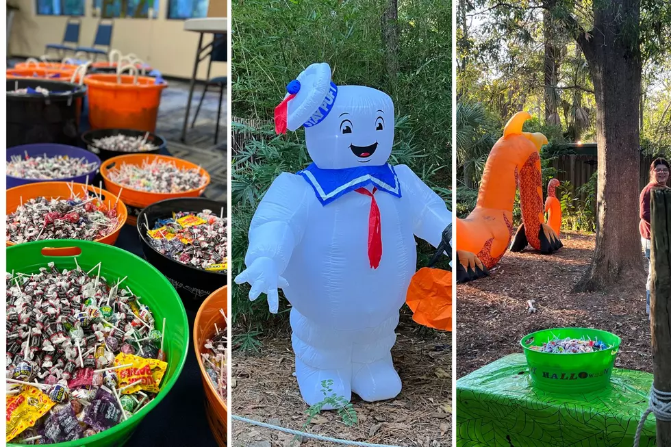 Ellen Trout Zoo Boo Is On In Lufkin, Texas