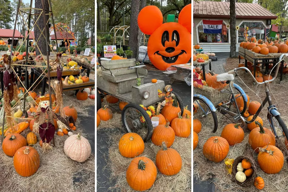 Celebrate Fall At The Farmers Market Pumpkin Fest In Lufkin, Texas