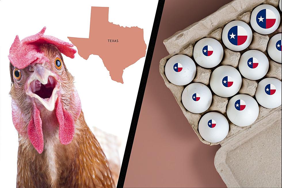 Reduced Egg Prices Bring Relief To Texas Shoppers