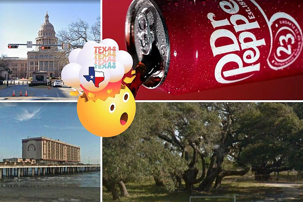 21 Mind Blowing Facts About Texas You Won&#8217;t Forget