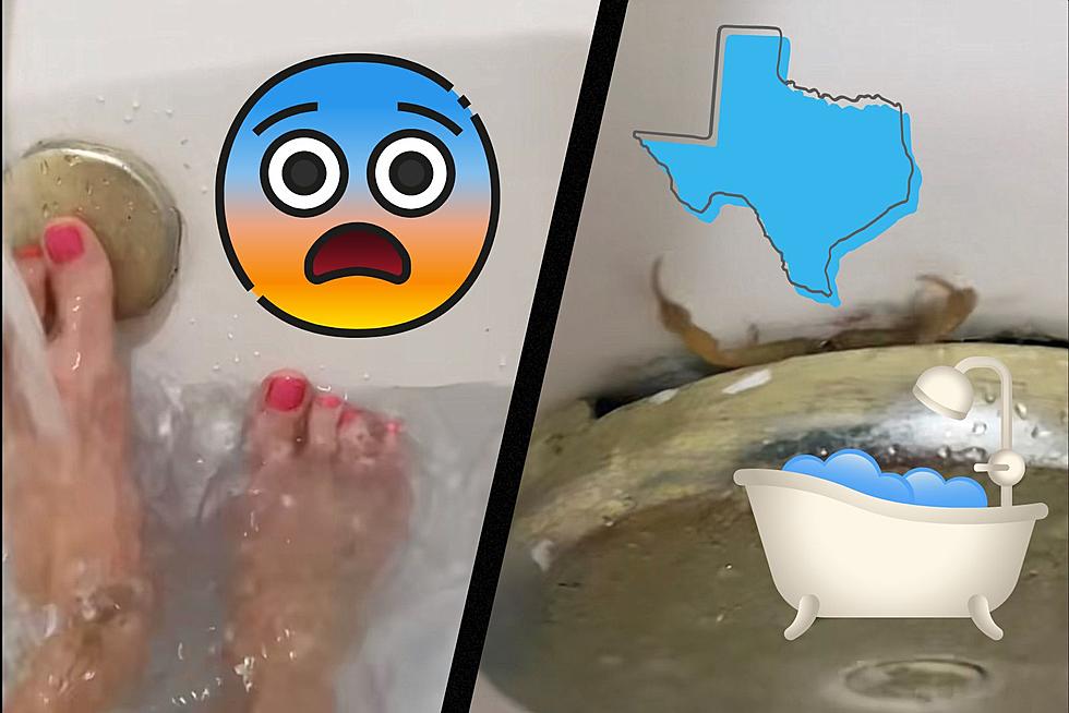 Consider This Unusual Bath Companion Before Moving To Texas