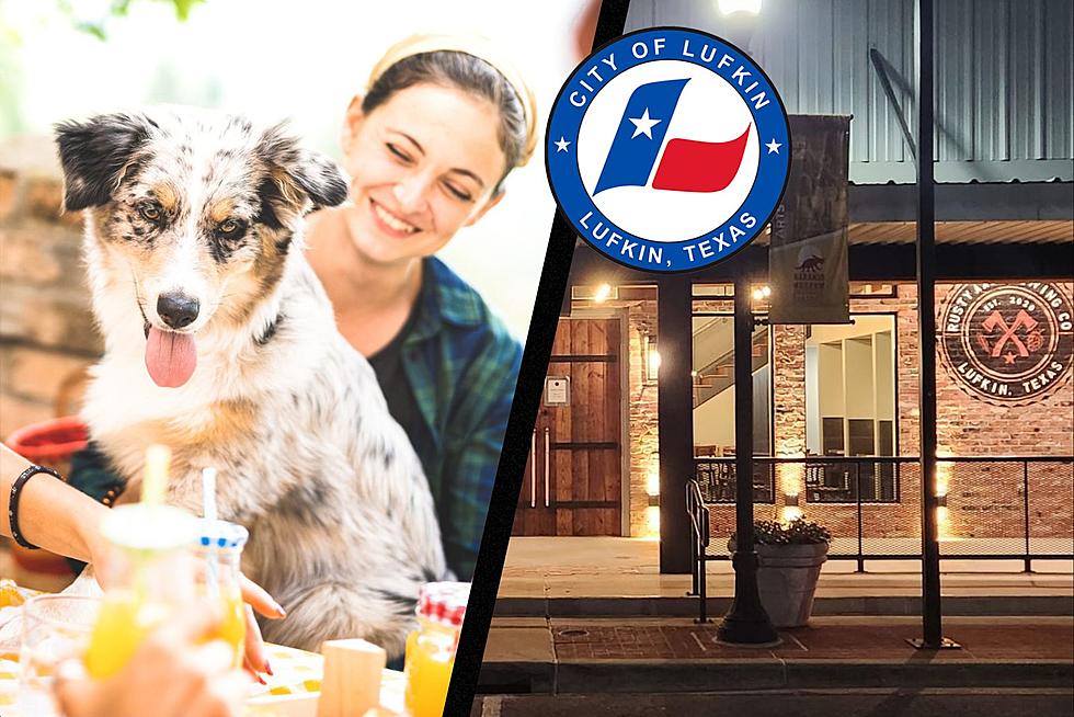 9 Best Dog Friendly Places To Eat In Lufkin, Texas