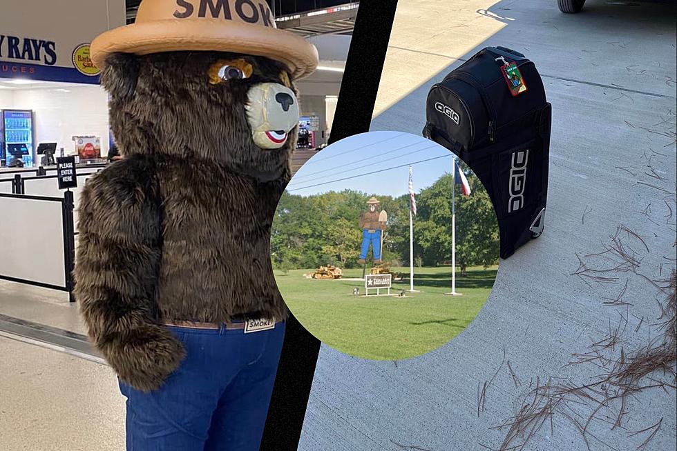 Smokey The Bear Stolen By Thieves In Hudson, Texas