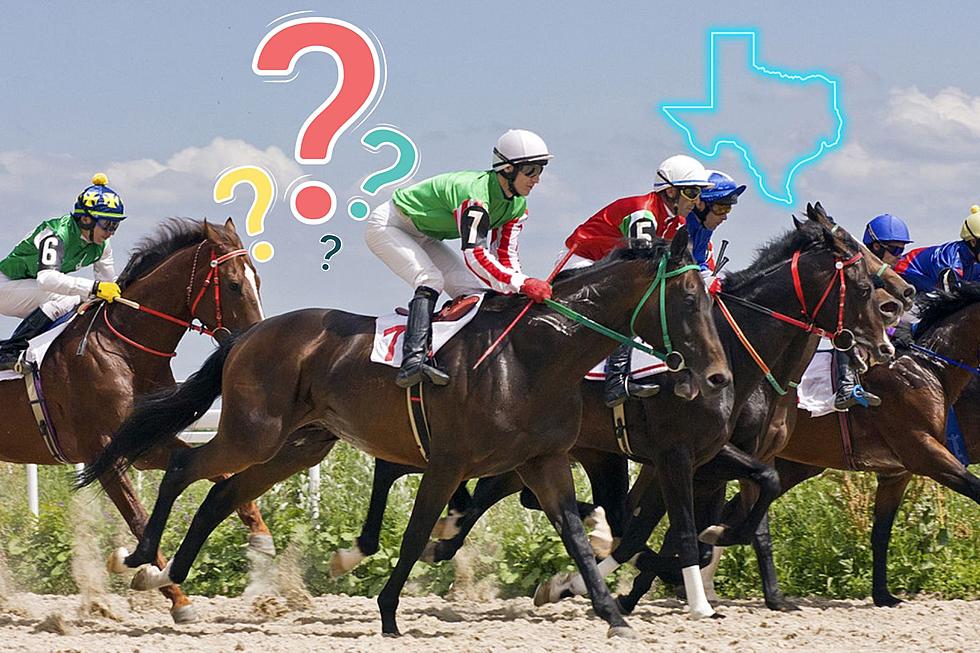 Is It Legal To Bet On Horse Racing Now in Texas?