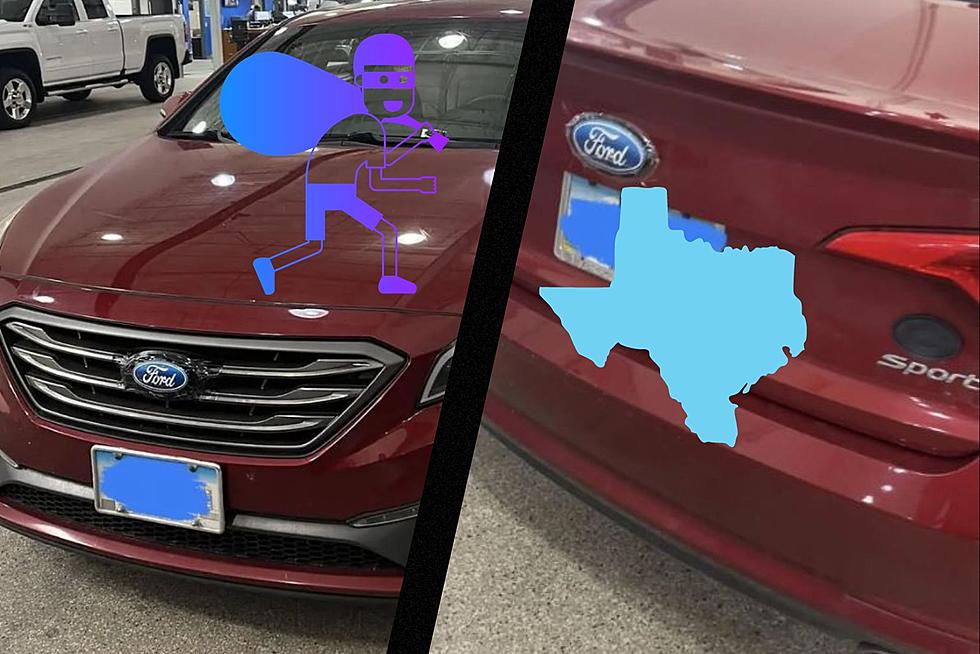 Should Texas Hyundai Owners Rebadge Their Cars To Stop Theft?