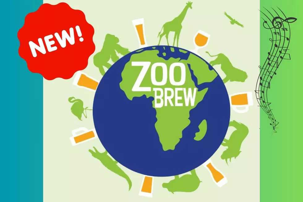 Everything New At The Zoo Brew For 2024