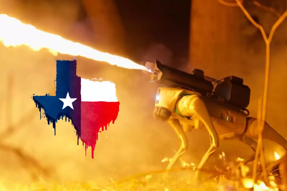 Texas Big Boy Toys: Flame-Throwing Robot Dog