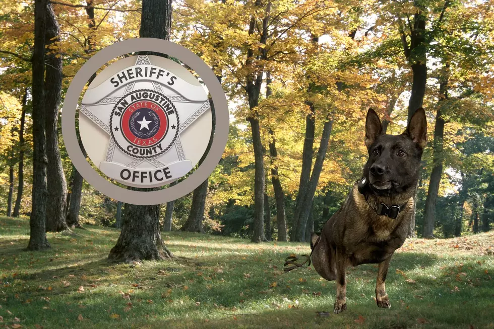 Search Continues For Missing East Texas Police K9