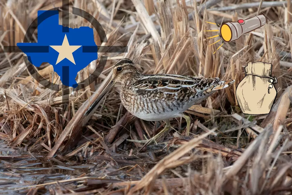 It&#8217;s Officially Snipe Season In Texas
