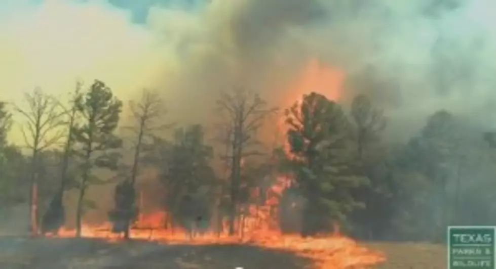 Texas Parks and Wildlife Wildfires Info &#038; Updates [VIDEO]