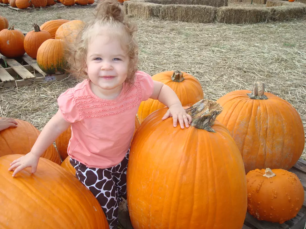 The Piney Woods Pumpkin Patch is Popular - Book Now!