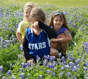 Not All Bluebonnet Pictures Turn Out Great