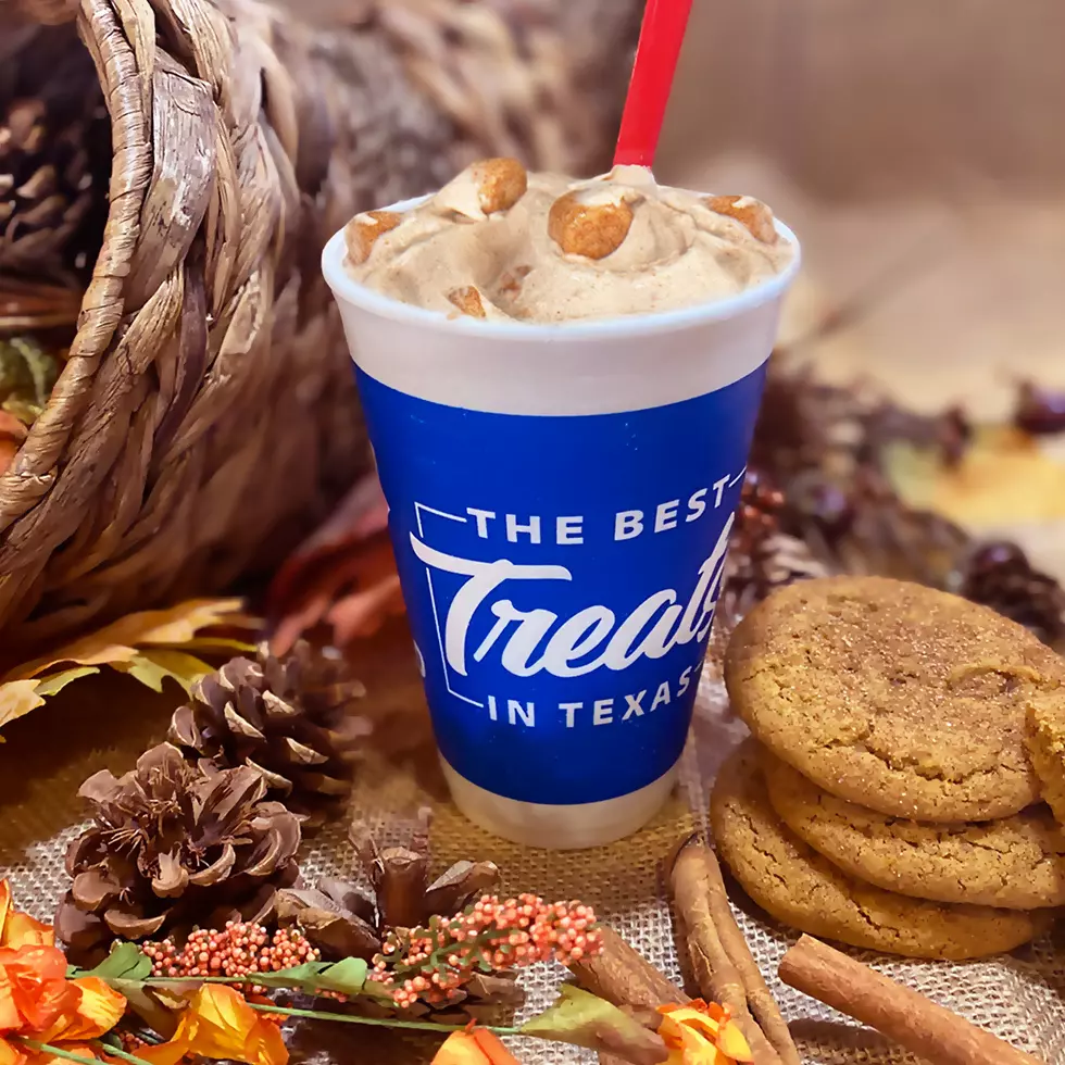 Dairy Queen Brings Snickerdoodle Cookie Dough Blizzard Back!