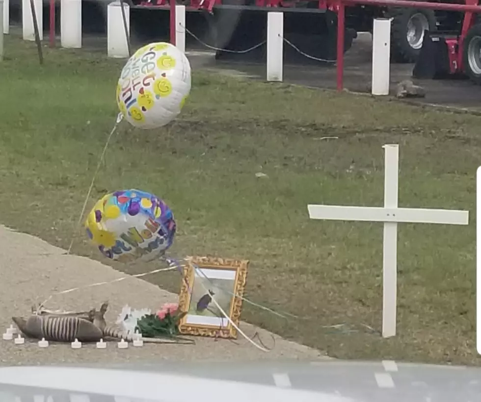 [TRUE STORY] Local Armadillo Receives Memorial And Obituary