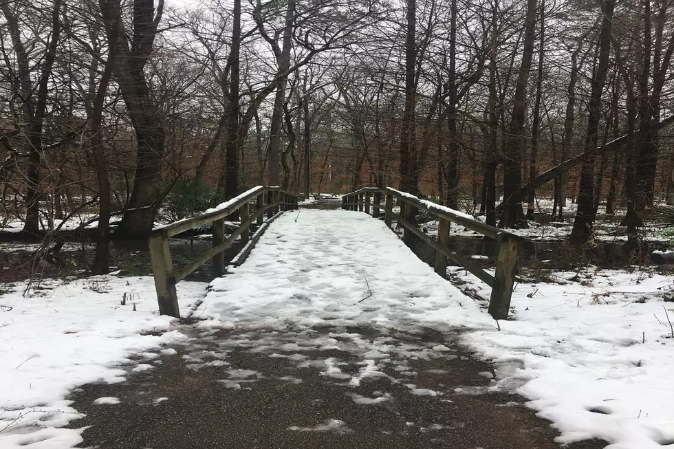 What Deep East Texans Are Hoping to NOT Deal With This Year