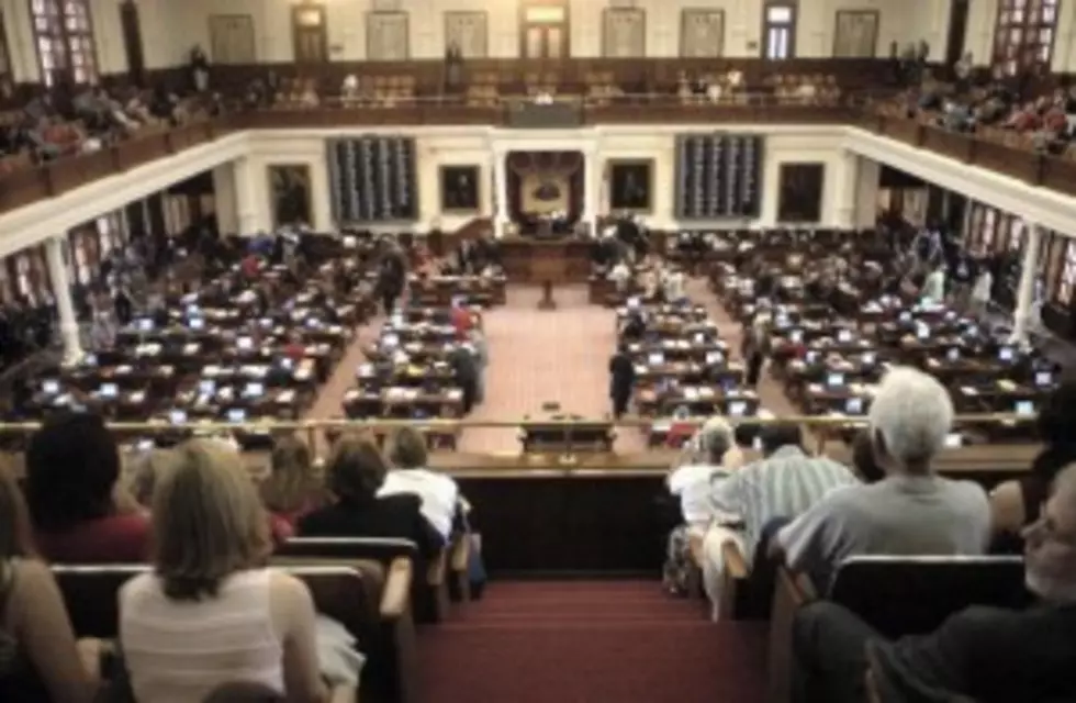 Texas House Committee Passes Budget Bill That Cuts Spending to the Bone