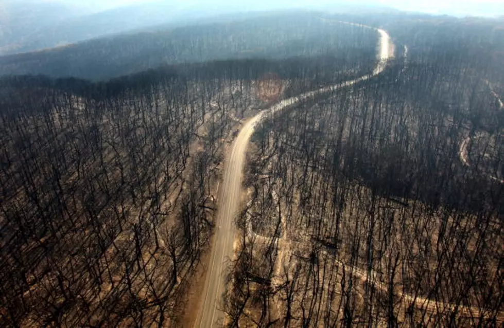 Wildfires Hit East Texas Economy Hard