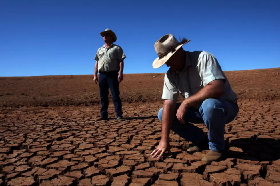 Texas Drought Now Considered A Disaster