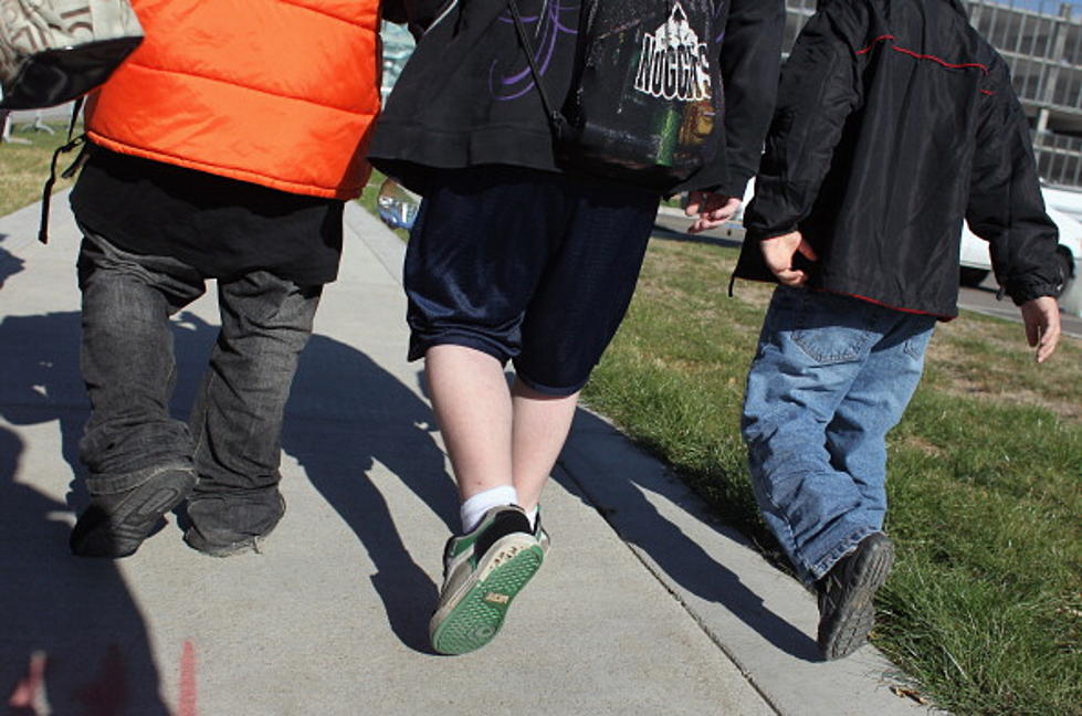 Harvard Prof: Parents of Very Obese Kids Should Lose Custody