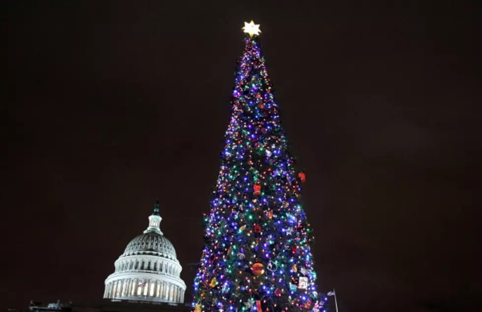 National Christmas Tree Ignores Jesus and Christmas, but Praises Obama