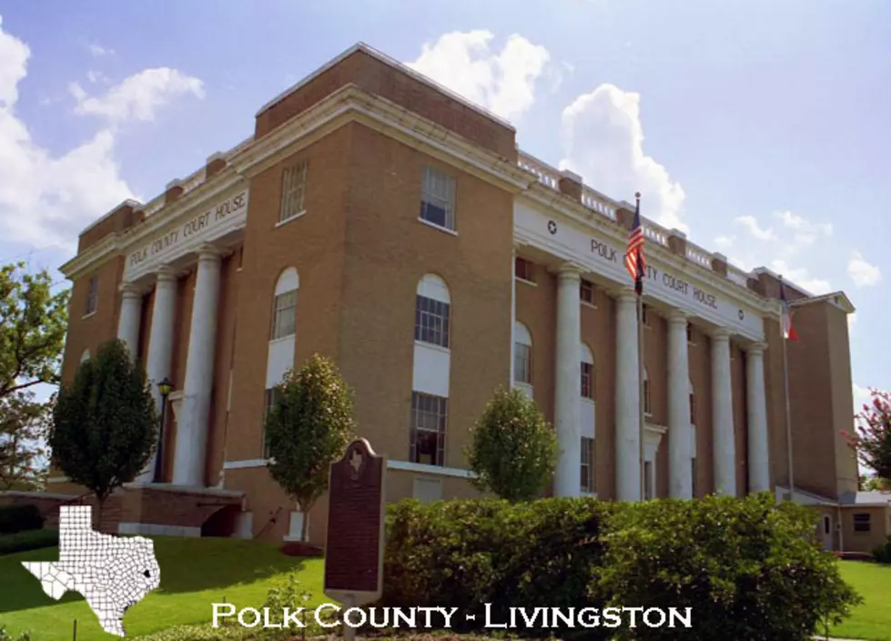 Polk County Courthouse on Endangered List