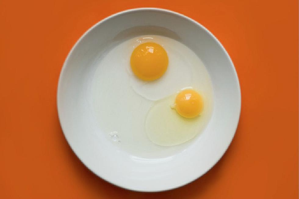 New Research Reveals Egg Yolk Is As Unhealthy as Cigarettes