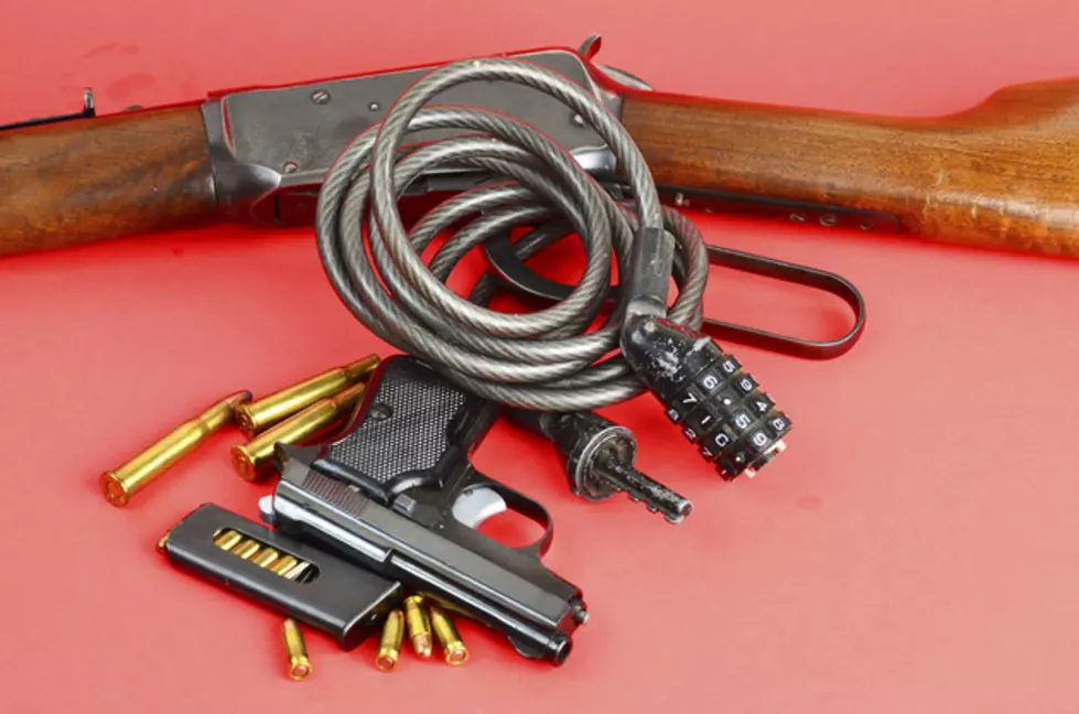 Many man admits to gun, ammo possession
