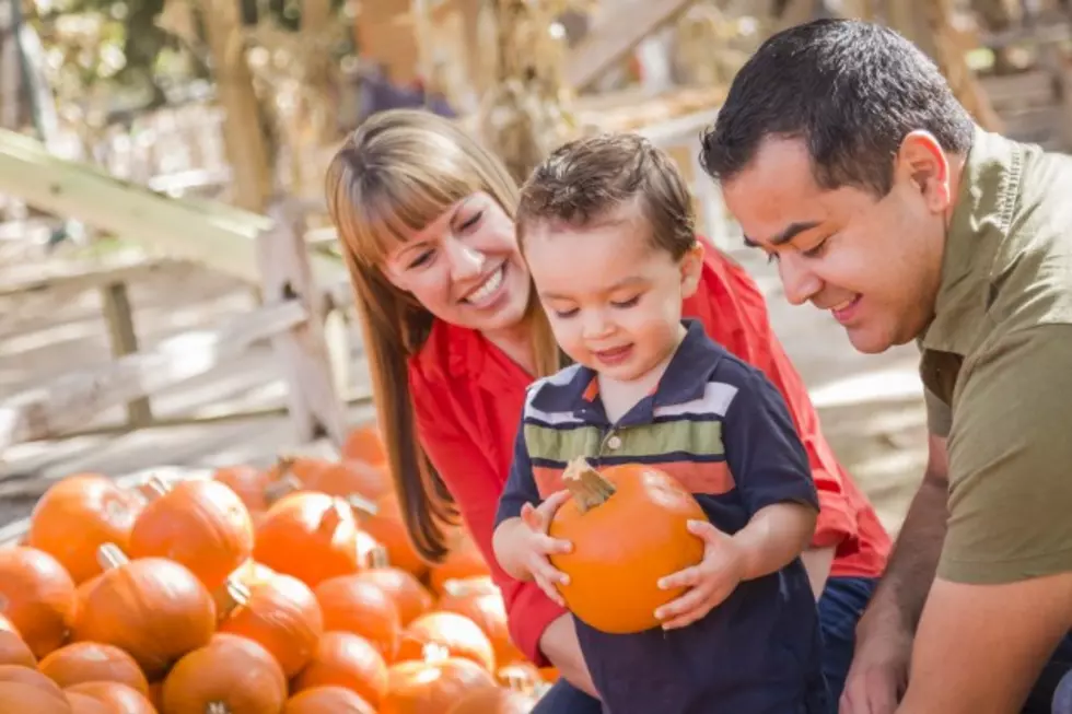 Check Out These Lufkin and Nacogdoches Halloween Family Attractions