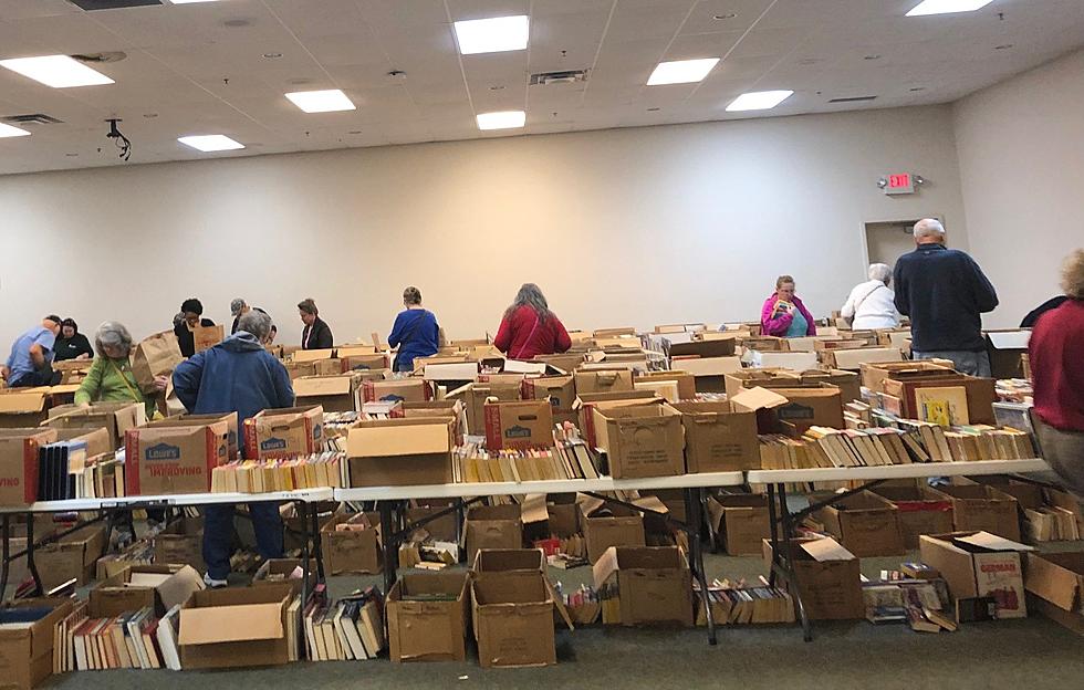 Big Brown Bag Spring Book Sale At Kurth Memorial Library In Lufkin, Texas