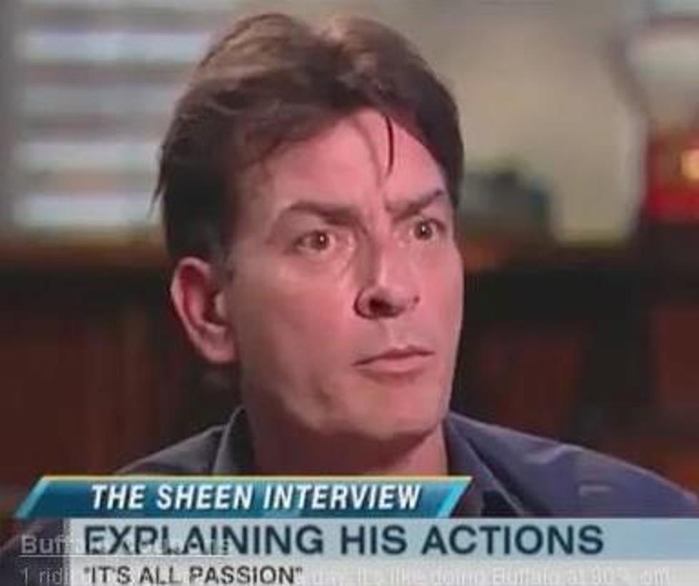 Another Charlie Sheen Remix [VIDEO]
