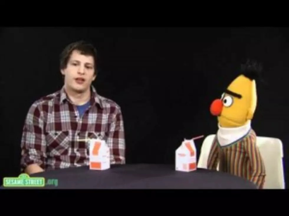 &#8216;Sesame Street&#8217;s&#8217; Bert Now Has Talk Show [VIDEO]