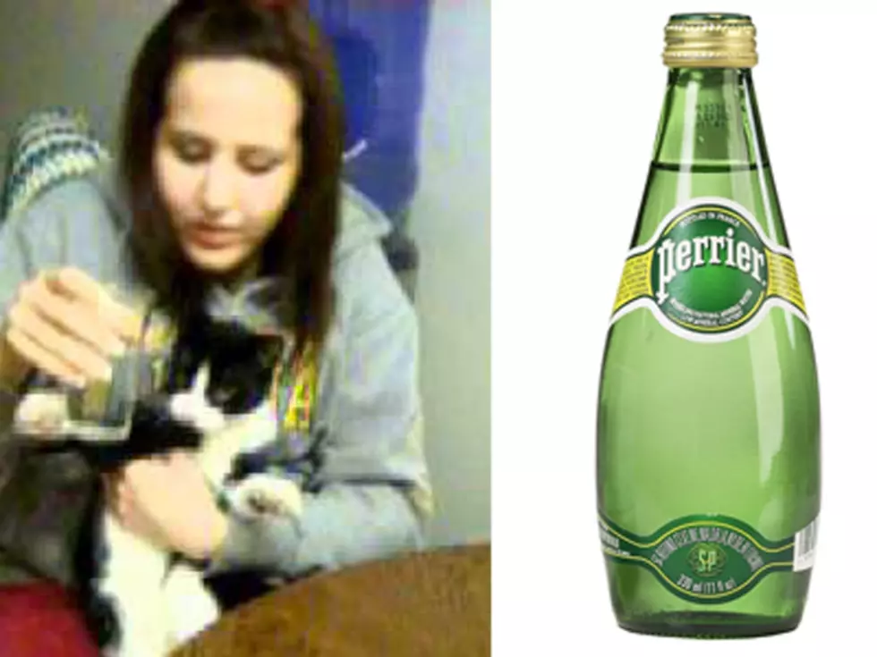 Shameless Pet Video: Cat Loves Perrier Water [VIDEO]