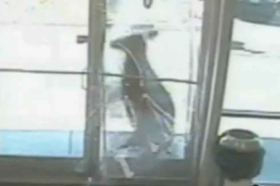 Deer Crashes Through Glass Door of Store [VIDEO]