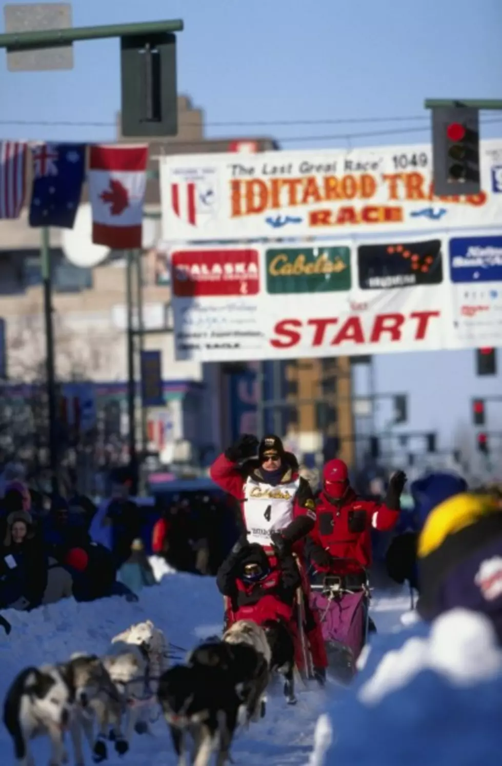 Tell Me How the Iditarod is a Sport [VIDEO]