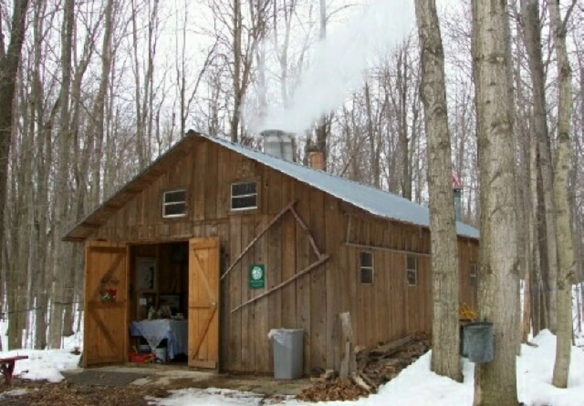 Best Places For Maple Weekend In Western New York! [LIST]
