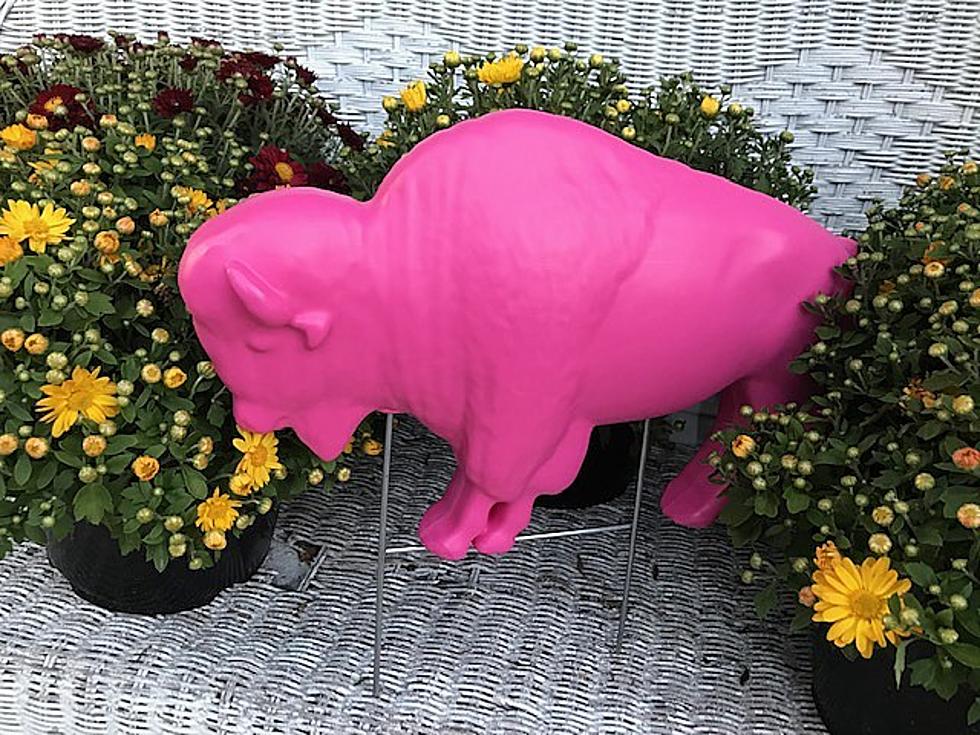 Get Your Pink Buffalo This Weekend