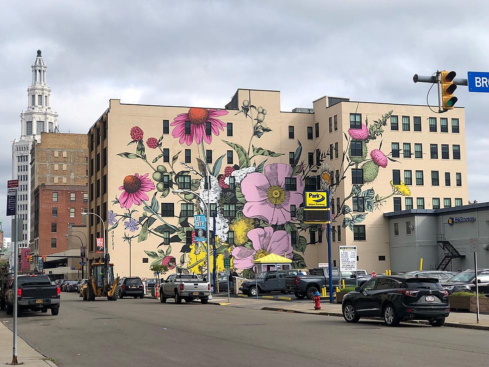 Buffalo’s Street Art is Some of the Best in America