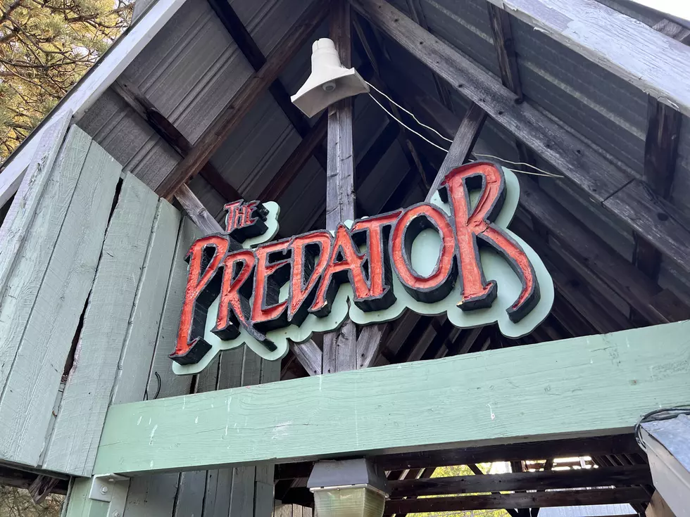 Review of the New Track on Predator at Six Flags Darien Lake